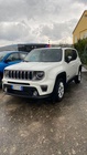 Jeep Renegade 2020