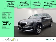 Skoda Karoq 2024