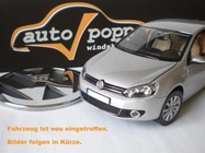 Volkswagen T7 2024