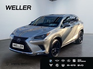 Lexus NX 2019