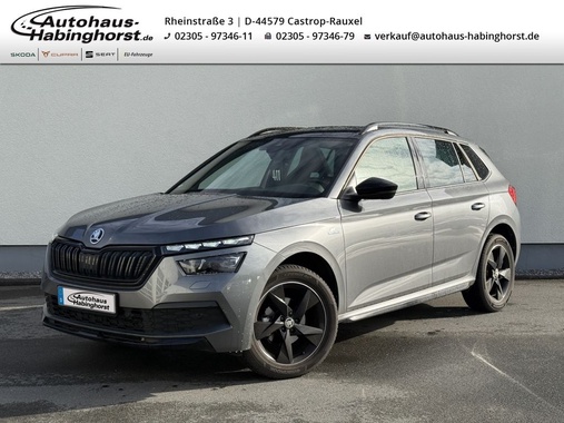 Skoda Kamiq 2022