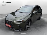 Lexus Other 2022