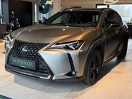 Lexus UX 2021