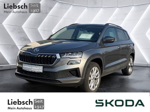 Skoda Karoq 2022