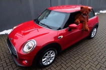 MINI One 2020