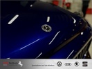 Фото 41
