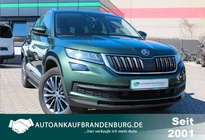 Skoda Kodiaq 2020