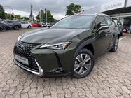 Lexus UX 2021