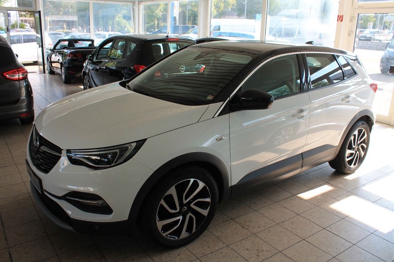 Opel Other