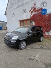 Fiat New Panda 2018