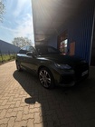 Audi SQ5 2023