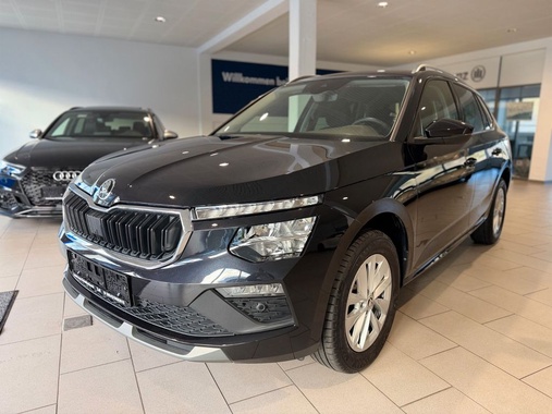 Skoda Kamiq 2024