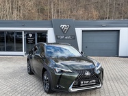 Lexus UX 2024