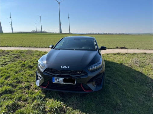 Kia pro cee'd / ProCeed 2022