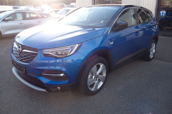 Opel Other 2019