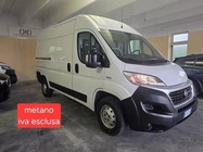 Fiat Ducato 2019