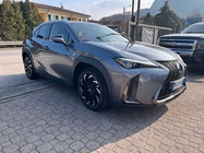 Lexus Other 2019