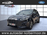 Ford Kuga 2023