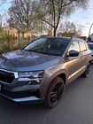 Skoda Karoq 2022