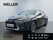 Lexus UX 2022