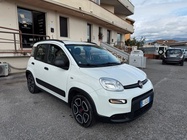 Fiat Panda 2022