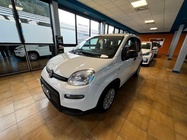 Fiat Panda 2023