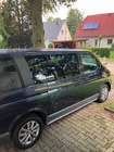 Volkswagen T6 2019