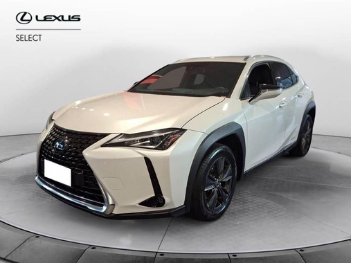 Lexus Other 2020