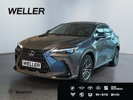Lexus NX 2025