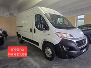 Fiat Ducato 2019