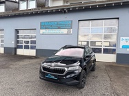 Skoda Karoq 2024