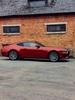Фото 1