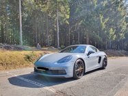 Porsche Cayman 2019
