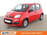 Fiat Panda 2020