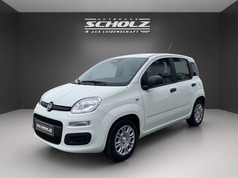 Fiat Other