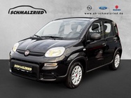 Fiat Panda 2023