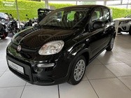 Fiat Panda 2024