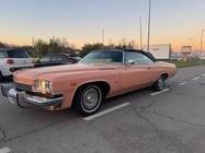 Buick Other 1973