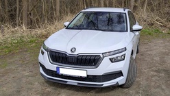 Skoda Kamiq 2022
