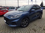 Ford Kuga 2022