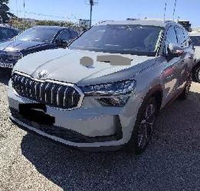 Skoda Kodiaq 2024