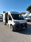 Fiat Ducato 2021