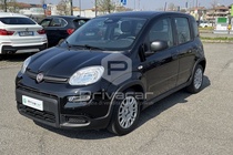Fiat Panda 2024