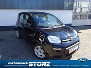 Fiat Panda 2024