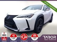 Lexus UX 2019