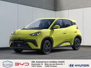 BYD Other 2026