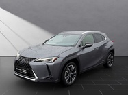 Lexus UX 2021