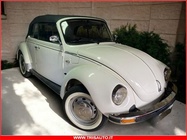 Volkswagen Other 1976