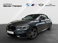 BMW 2 Series 2019