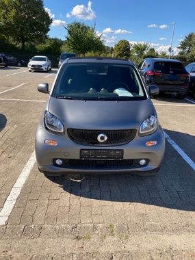Smart Other 2019